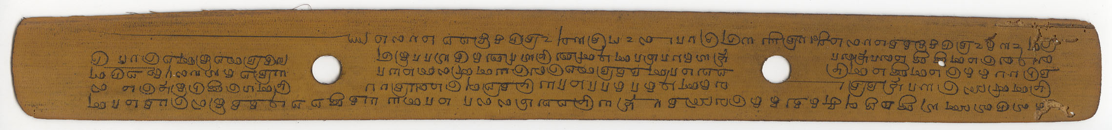 Pali on Talipot Leaf — Burmese folio