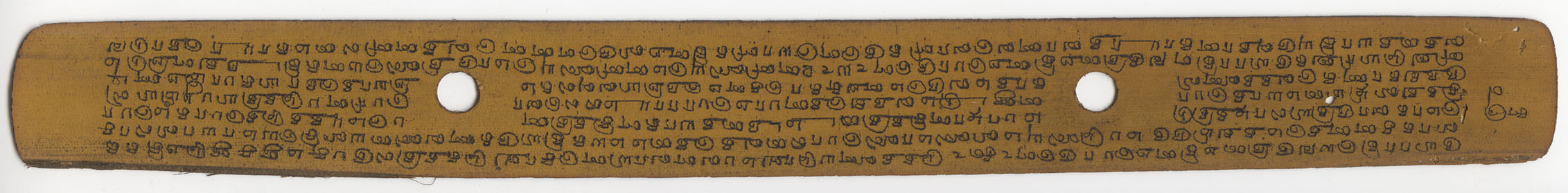Pali on Talipot Leaf II — Burmese folio
